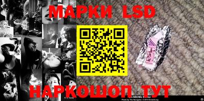 стаф Будённовск