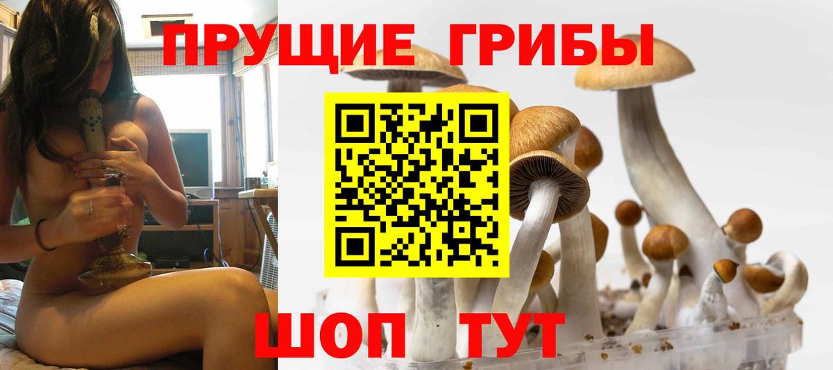 Галлюциногенные грибы Cubensis  Вход с VPN  Галлюциногенные грибы MAGIC MUSHROOMS  Лысьва 